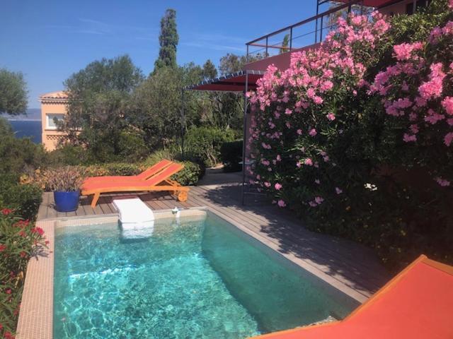 Mirabel Bed & Breakfast Île du Levant